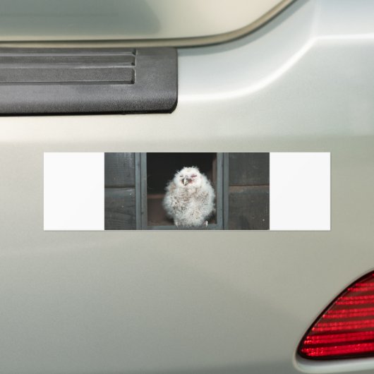 Tawny Owl Bumpersticker (Op auto)