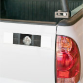 Tawny Owl Bumpersticker (Op Truck)