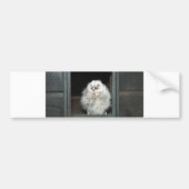 Tawny Owl Bumpersticker (Voorkant)