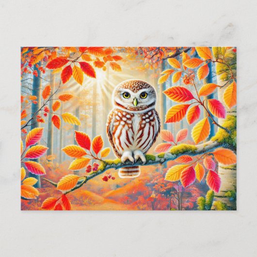 Tawny Owl in het herfstbos Feestdagenkaart (Voorkant)