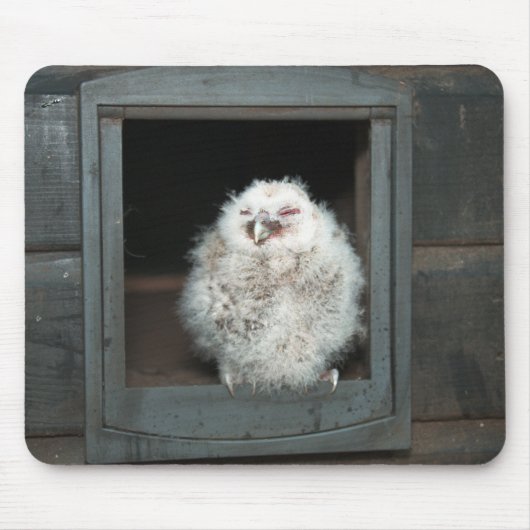 Tawny Owl Muismat (Voorkant)