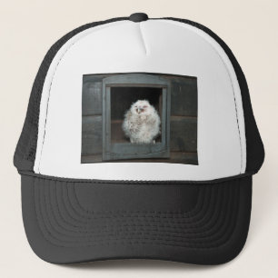 Tawny Owl Trucker Pet