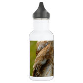 Tawny Owl Waterfles (Links)