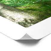 Tawny Owlet in een Poster van de Oude Oak (Hoek)