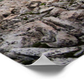 Tawny Point Panorama - John Muir Trail Poster (Hoek)