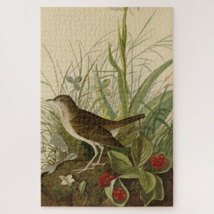 Tawny Thrush (Veery) - Amerikaanse vogels van Audu Legpuzzel