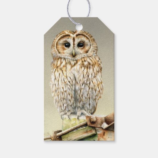 Tawny uil fine art schilderij kerstcadeau label cadeaulabel (Voorkant)