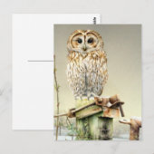 Tawny Uil in de Sneeuw fine art waterverf briefkaa Briefkaart (Voorkant / Achterkant)