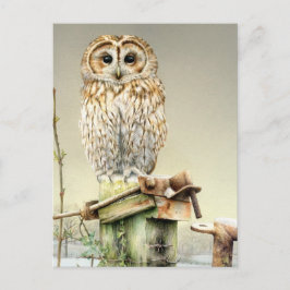 Tawny Uil in de Sneeuw fine art waterverf briefkaa Briefkaart