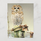 Tawny Uil in de Sneeuw fine art waterverf briefkaa Briefkaart (Voorkant)