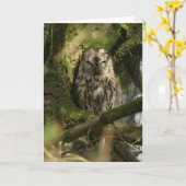 Tawny Uil in het bos Kaart (Gele Bloem)