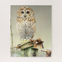 Tawny uil waterverf en gouache kunst puzzel