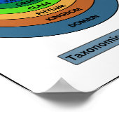 Taxonomische indeling poster (Hoek)