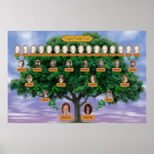 Taylor Family Tree Poster (Voorkant)
