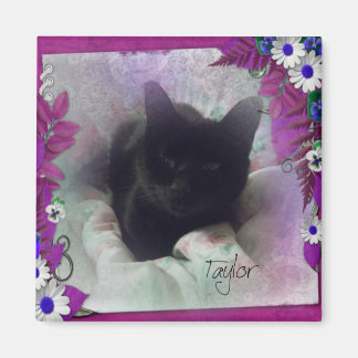 Taylor Koelkast Magnet