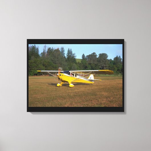 Taylorcraft, BC-12, 1941_Classic Aviation Canvas Afdruk (Voorkant)