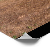 Taylorcraft, BC-12D, 1946_Classic Aviation Poster (Hoek)