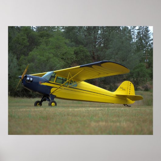 Taylorcraft, DC-65, 1941_Classic Aviation Poster (Voorkant)
