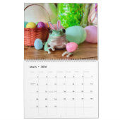 Tay's Exotische Critters Rescue kalender 2024 (Mar 2026)