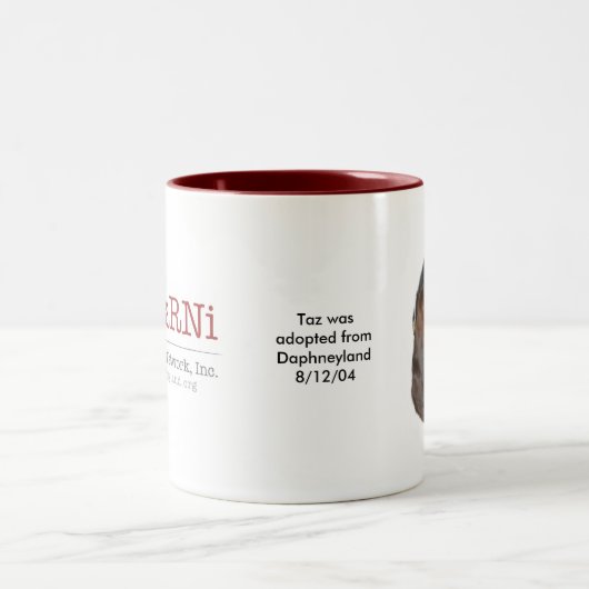 Taz Adoption Mok (Center)