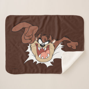 TAZ™ Bursting Through Page Sherpa Deken