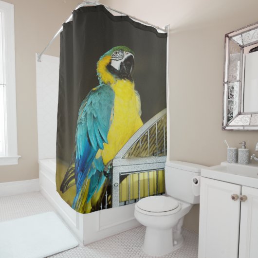 Taz... Douchegordijn (In situ)