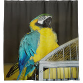 Taz... Douchegordijn (Voorkant)