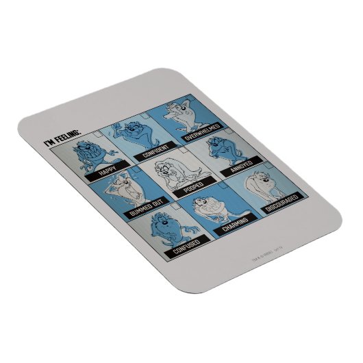 TAZ™ Emotie Checkbox Magneet (Rechterzijde)