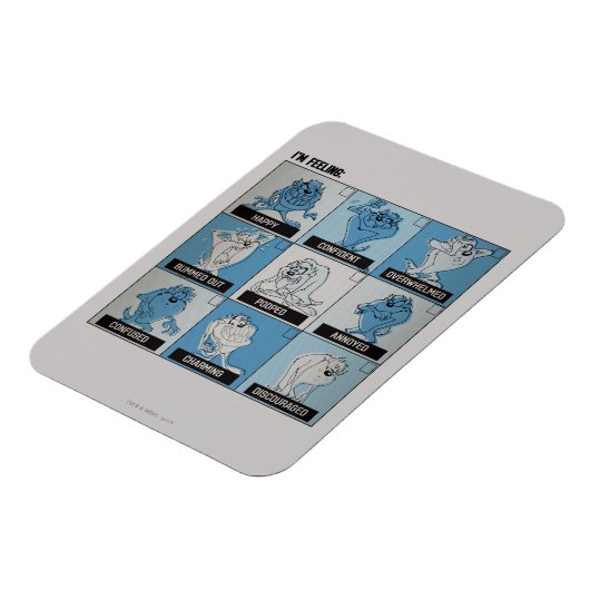 TAZ™ Emotie Checkbox Magneet (Linkerzijde)