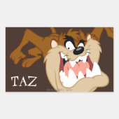 TAZ™ Evil Grin Rechthoekige Sticker (Voorkant)