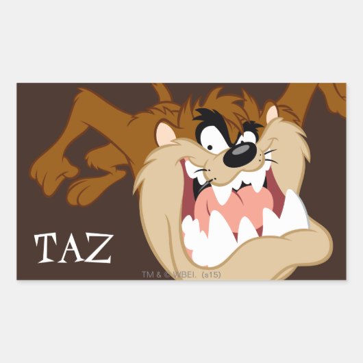 TAZ™ Evil Grin Rechthoekige Sticker (Voorkant)