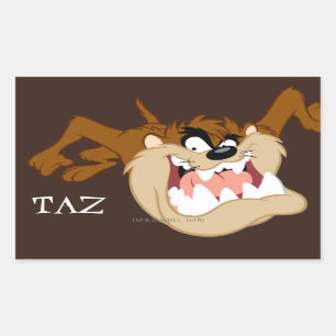 TAZ™ Evil Grin Rechthoekige Sticker