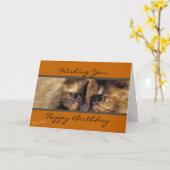 Taz happyBirthday-past aan Kaart (Gele Bloem)