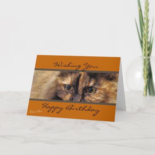 Taz happyBirthday-past aan Kaart (Voorkant)