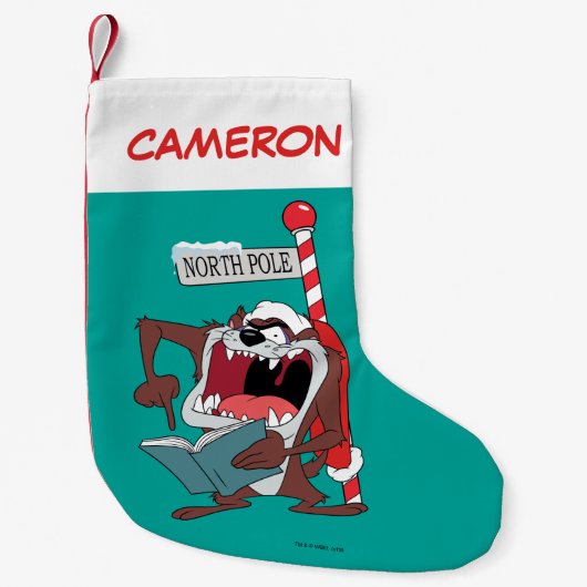 TAZ™ "IK CAROL NU!" KLEINE KERSTSOK (Voorkant)