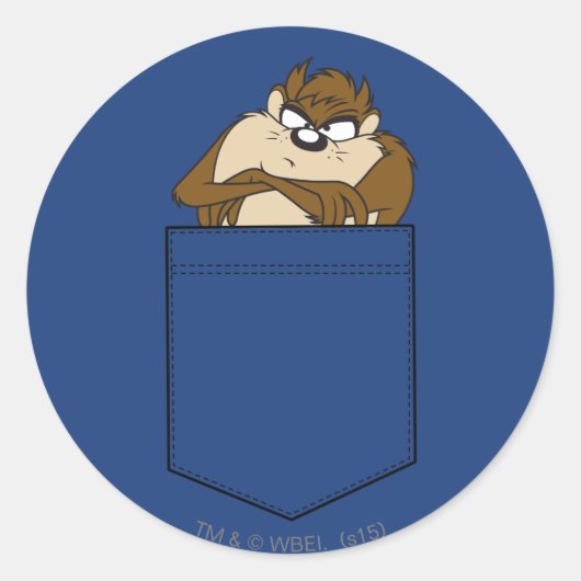 TAZ™ in een zakje Ronde Sticker (Voorkant)