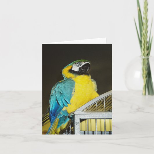 Taz... Kaart (Voorkant)