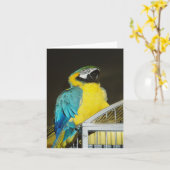 Taz... Kaart (Gele Bloem)