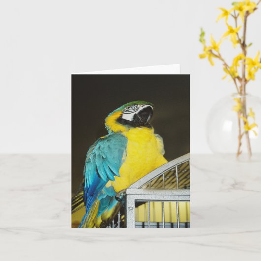 Taz... Kaart (Gele Bloem)