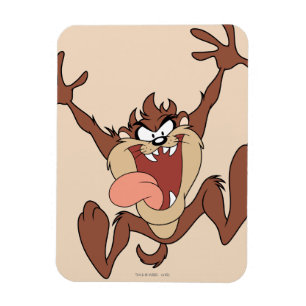 TAZ™ Leaping Magneet