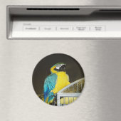 Taz... Magneet (Insitu (Vaatwasser))