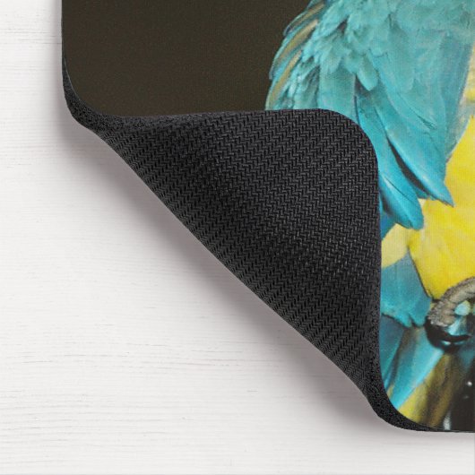 Taz... Muismat (Hoek)