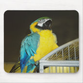 Taz... Muismat (Voorkant)