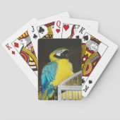 Taz... Pokerkaarten (Achterkant)