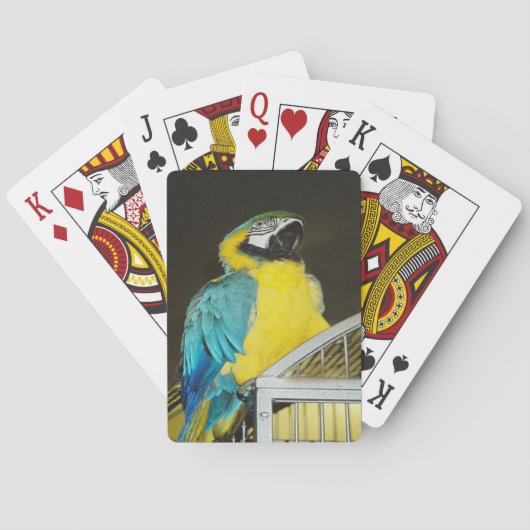 Taz... Pokerkaarten (Achterkant)