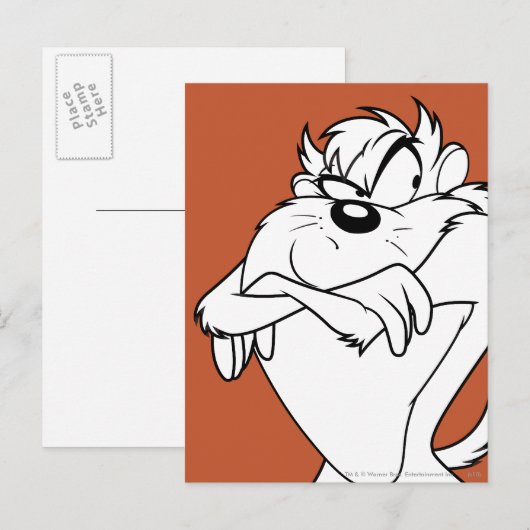 TAZ™-positie Briefkaart (Voorkant / Achterkant)