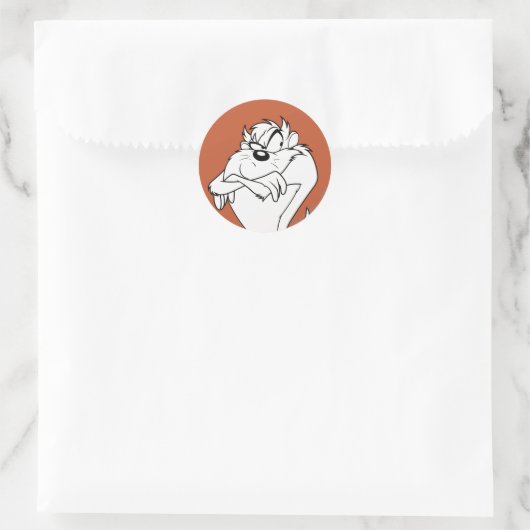 TAZ™-positie Ronde Sticker (Tas)