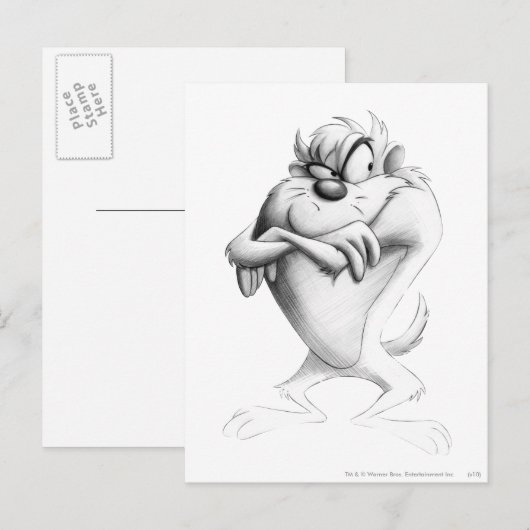 TAZ™ Tekening Briefkaart (Voorkant / Achterkant)