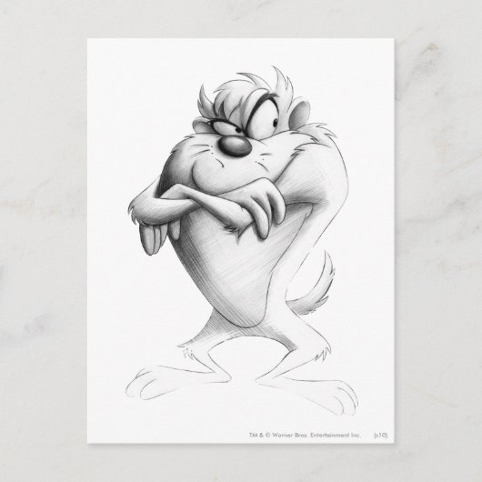 TAZ™ Tekening Briefkaart (Voorkant)