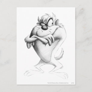 TAZ™ Tekening Briefkaart